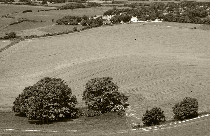 Monday June 9th (2008) four trees align=