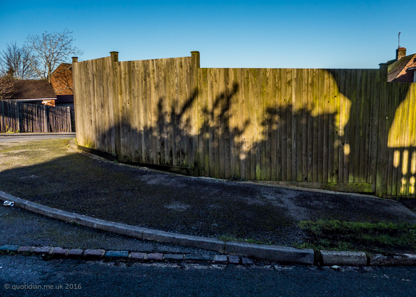 Monday February 1st (2016) fence align=