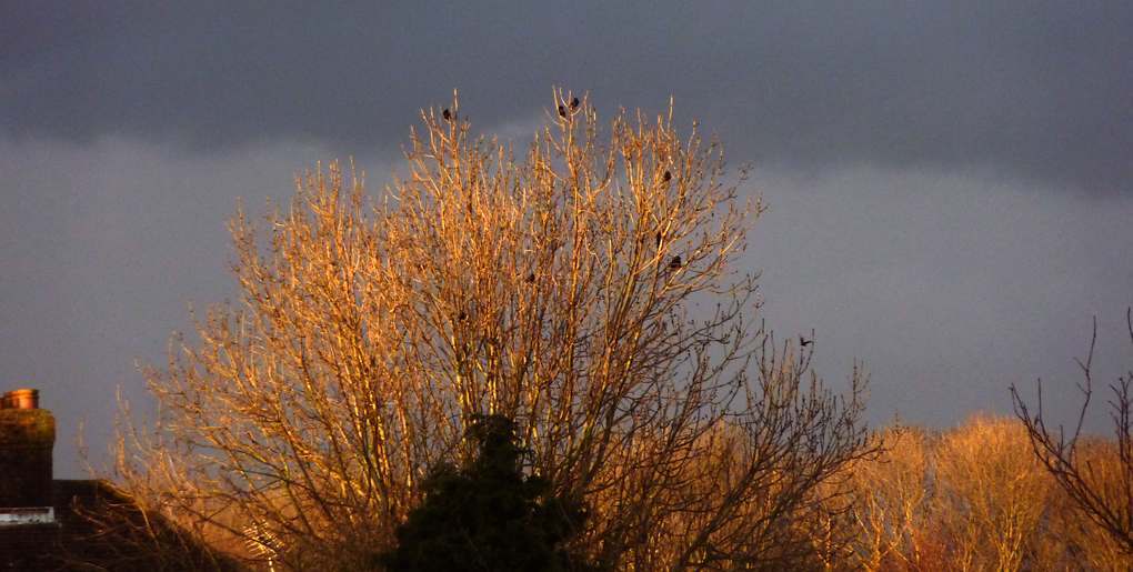 Sunday April 14th (2013) a dark sky align=