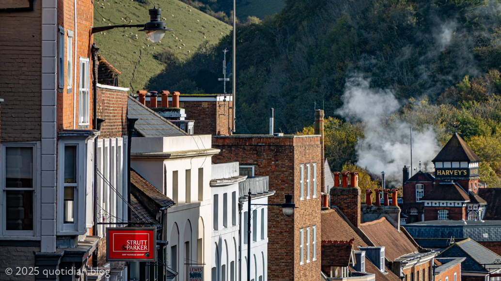 Tuesday October 21st (2025) distant sheep