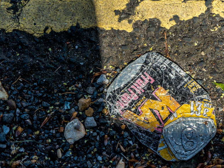 Thursday April 21st (2016) squashed litter 03 align=