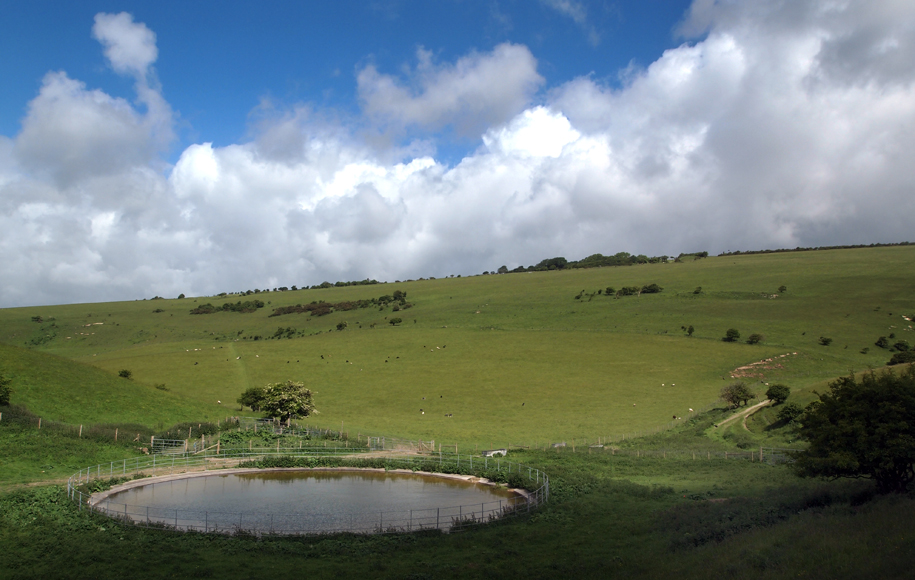 Friday June 14th (2013) dewpond at oxteddle bottom align=