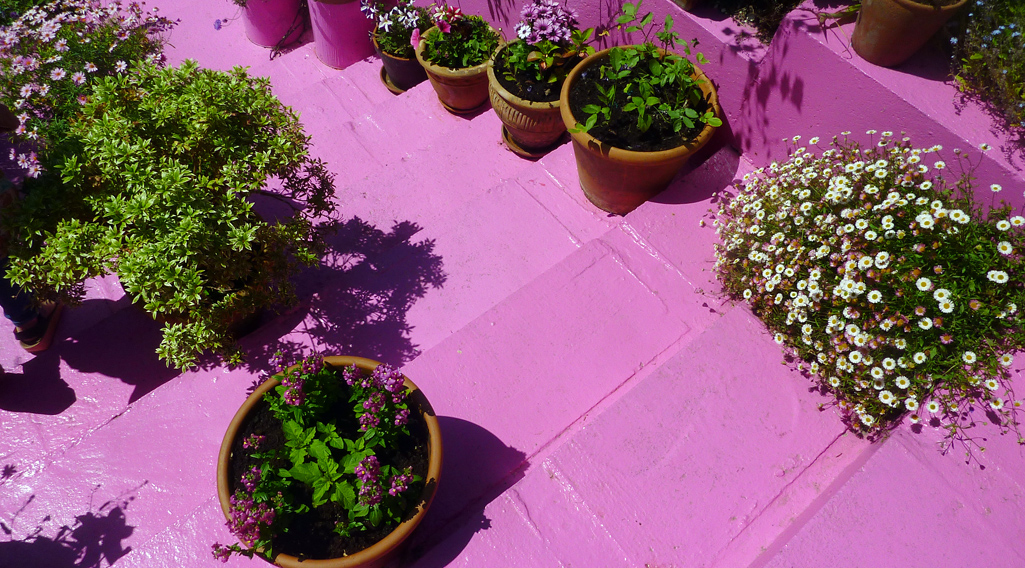 Saturday May 24th (2014) pink steps align=