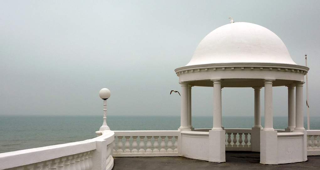 Thursday March 8th (2012) bexhill gulls align=