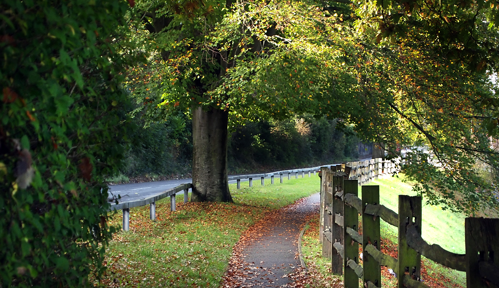 Friday October 31st (2014) unseasonably warm align=