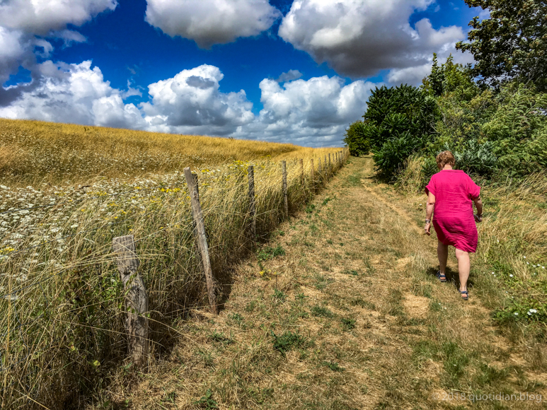 Sunday July 29th (2018) blustery day align=