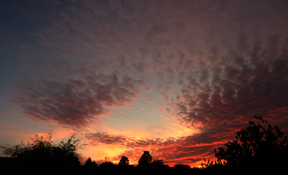 Monday August 16th (2010) beauty of the evening align=