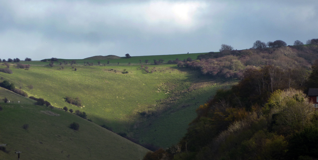 Tuesday October 28th (2014) sunlight on the coombe align=