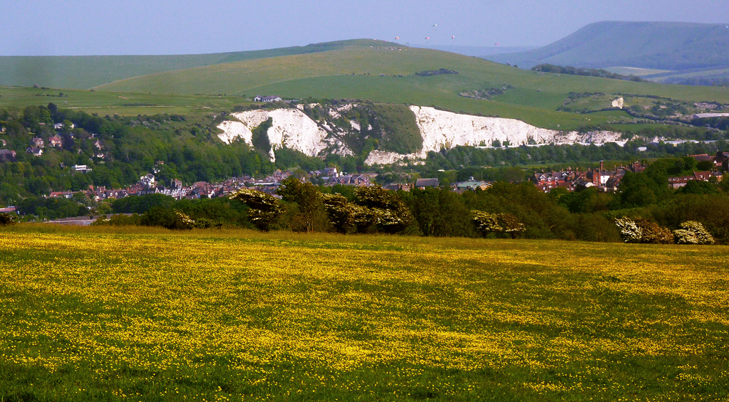 Monday May 26th (2014) buttercup battlefield align=