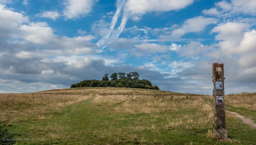 Friday September 9th (2016) wittenham clumps align=