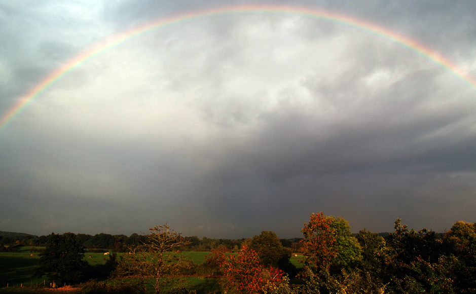 Tuesday October 8th (2013) the arc of the whatsit align=