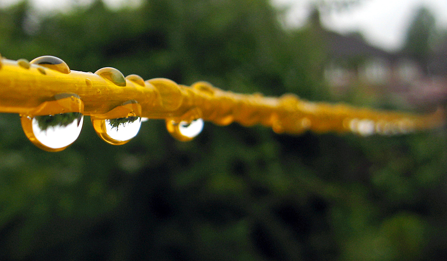 Sunday June 24th (2007) washing line blues align=