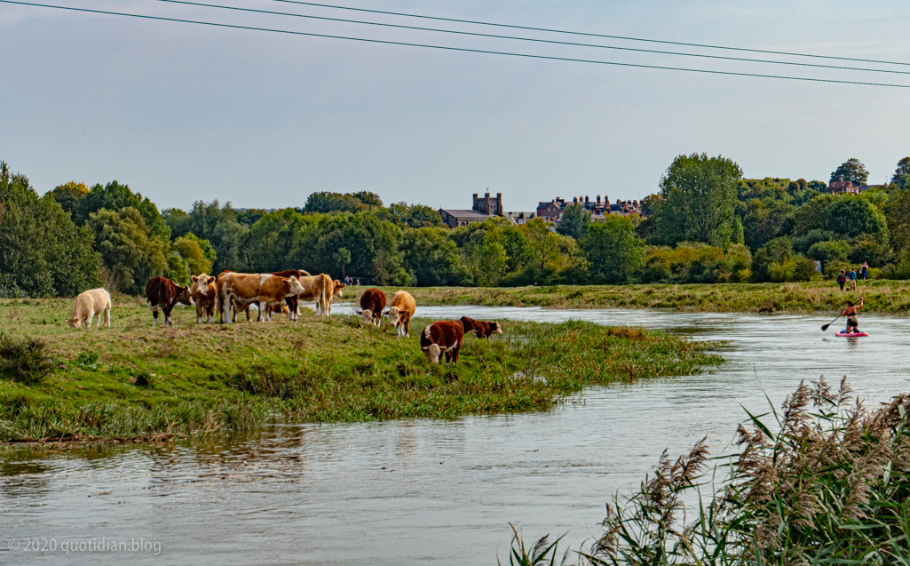 Monday September 21st (2020) sunday by the ouse align=