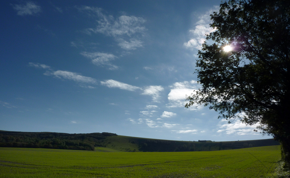 Tuesday October 26th (2010) welcome to sussex align=