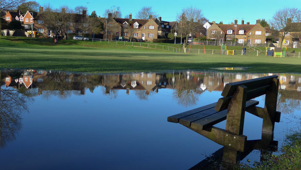 Monday January 12th (2015) flooded green align=