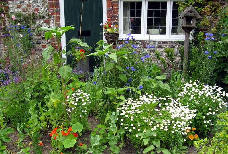 Sunday June 25th (2006) cottage garden align=