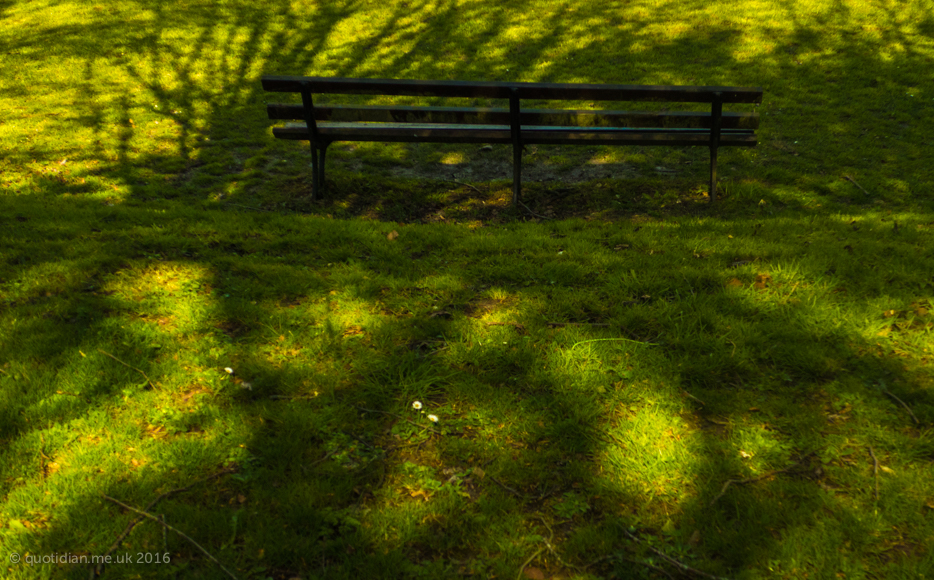 Monday April 18th (2016) tree shadow bench align=
