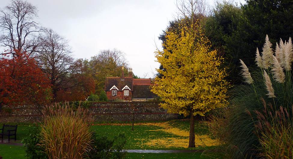 Sunday November 15th (2009) yellow leaves align=