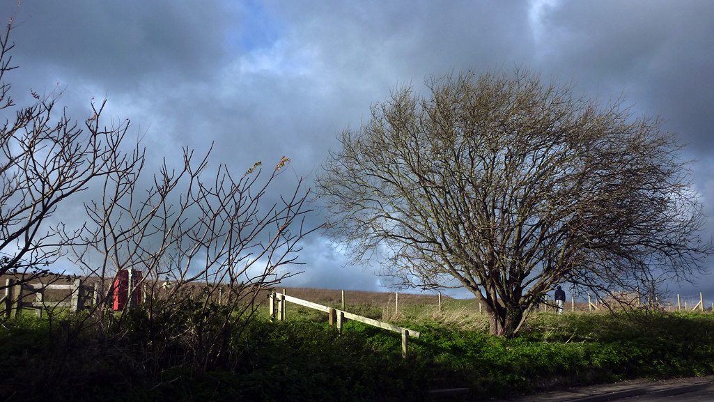 Friday December 12th (2014) entrance to the downs align=