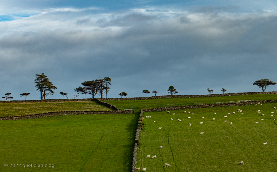 Saturday October 15th (2022) line of trees align=