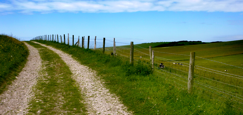 Thursday June 28th (2012) downland fence align=