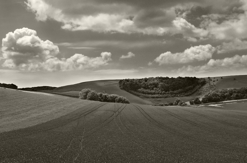 Friday June 13th (2008) near glyndebourne align=