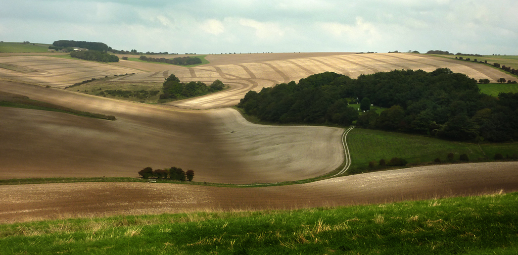 Sunday September 14th (2014) fields near balmer down align=