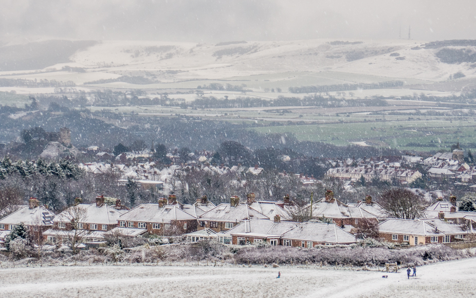 Sunday January 17th (2016) snowy morning align=