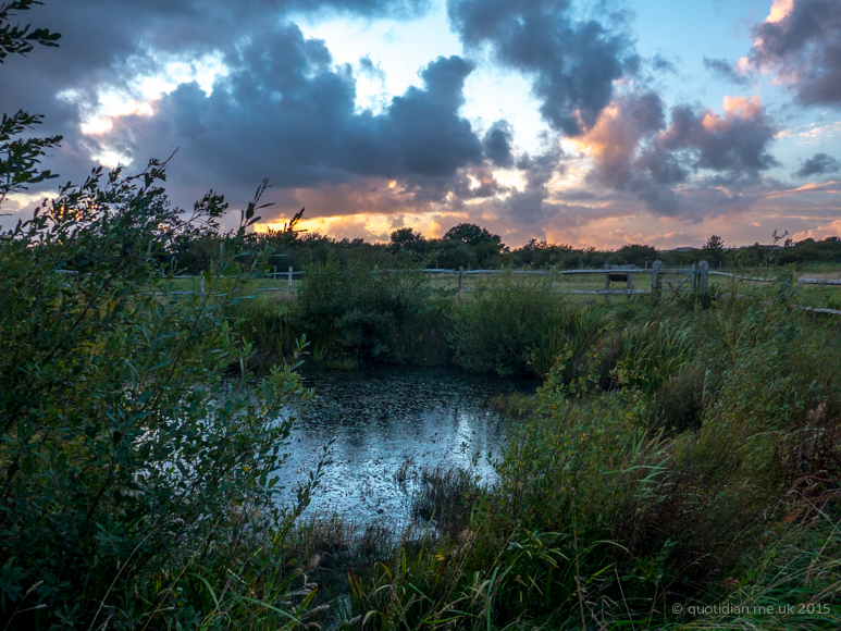 Monday September 14th (2015) overlooking the pond align=