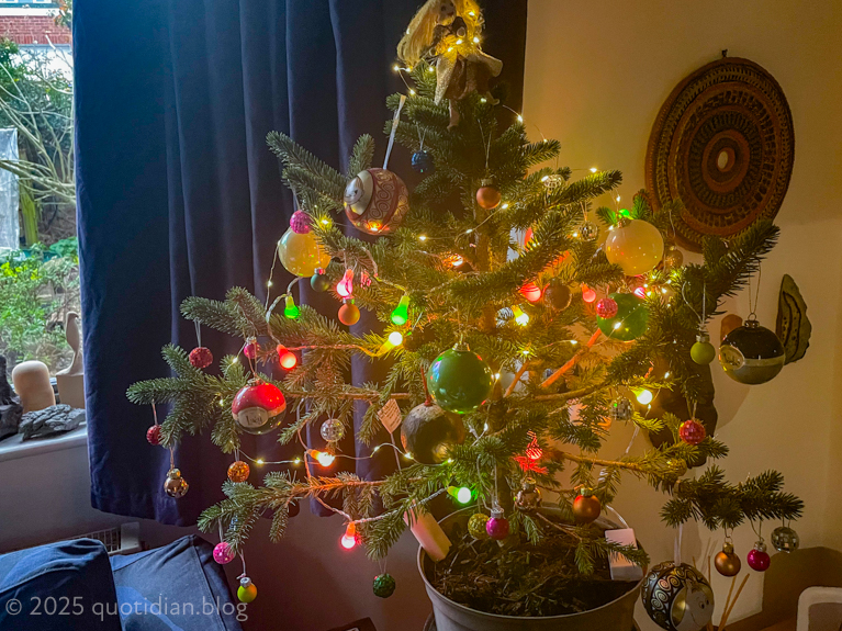 Thursday December 11th (2025) a modest tree