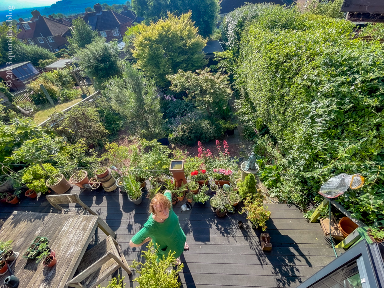 Monday June 12th (2023) garden looking quite lush align=