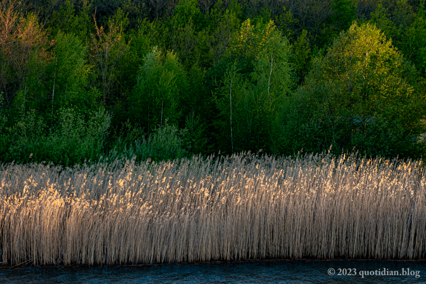 Thursday May 11th (2023) lakeside textures align=