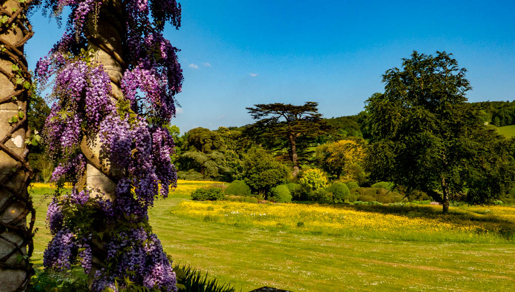 Monday May 21st (2018) west dean wisteria (and parkland) align=