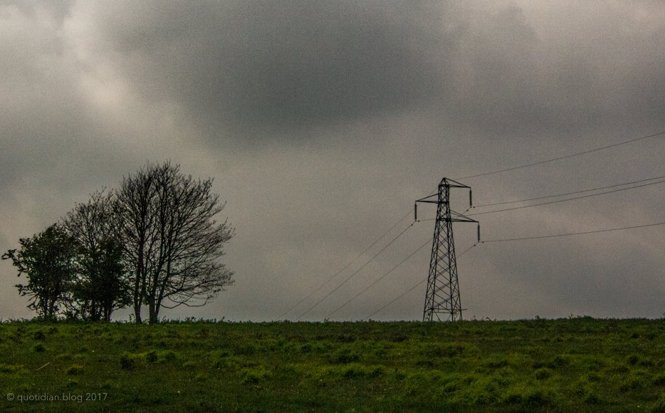 Saturday April 22nd (2017) tree and pylon align=