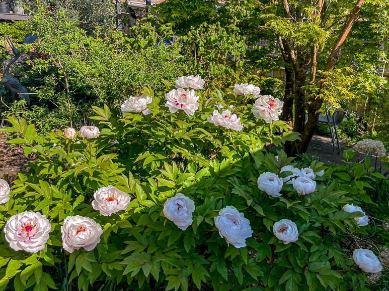 Tuesday April 21st 2026&nbsp;gets better every year