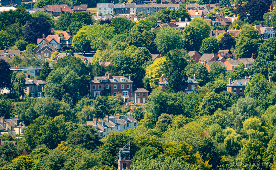 Monday July 13th (2020) tree lined lewes align=