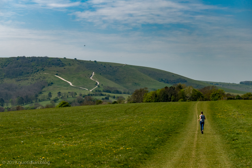 Wednesday April 24th (2019) ancient trackways align=