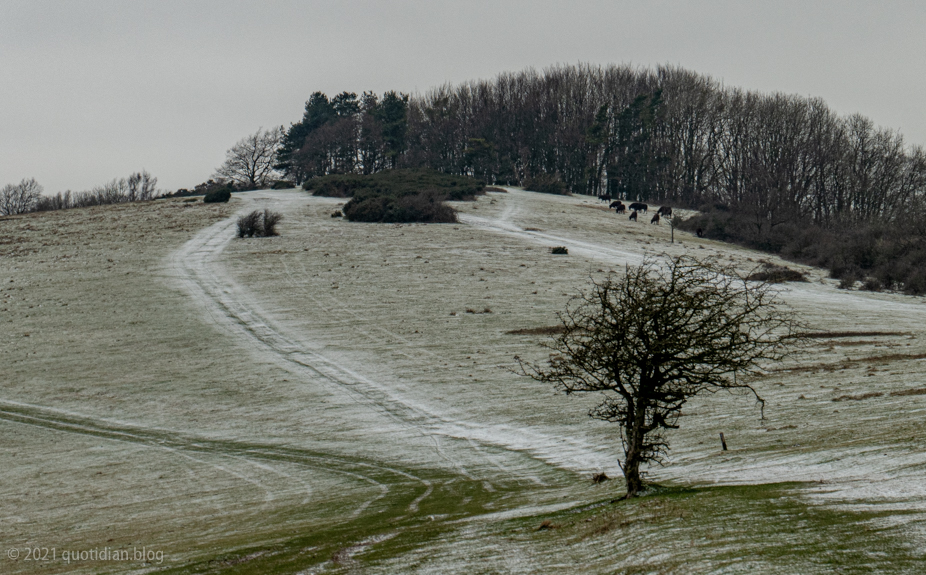 Monday February 8th (2021) walking to blackcap align=