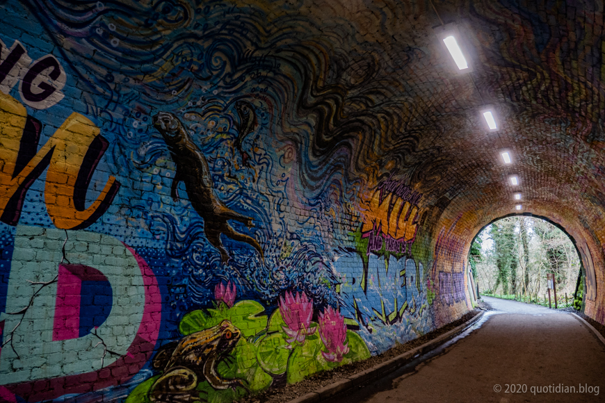 Tuesday March 10th (2020) colinton tunnel align=