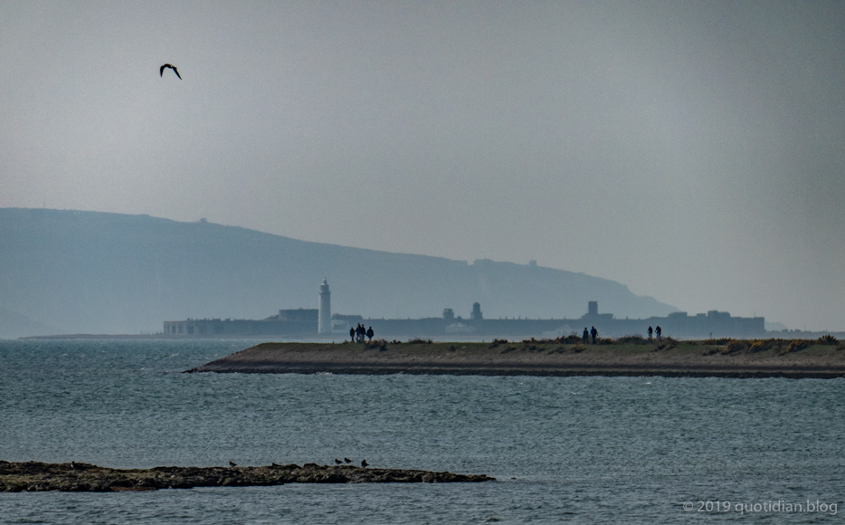 Sunday March 31st (2019) along the sea wall align=