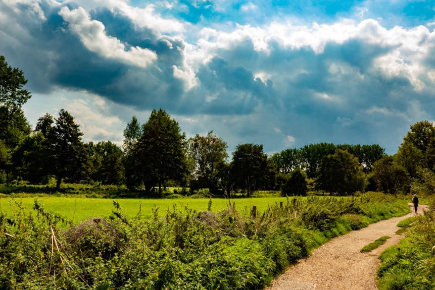 Tuesday August 28th (2018) winchester water meadows align=