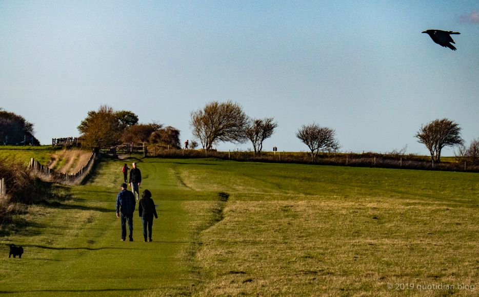 Monday March 25th (2019) four people, jogger, dog, crow align=