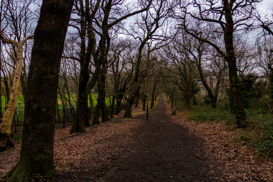 Saturday January 6th (2018) coxs walk, nr. lordship lane align=