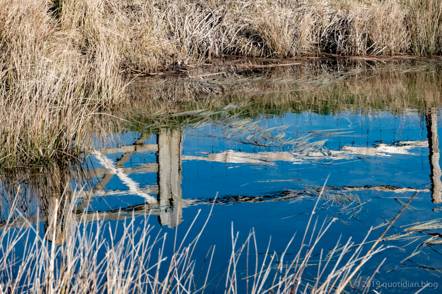 Saturday March 2nd (2019) pond align=