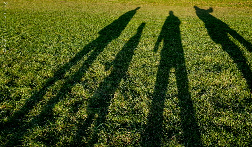 Friday December 26th (2025) shadow play