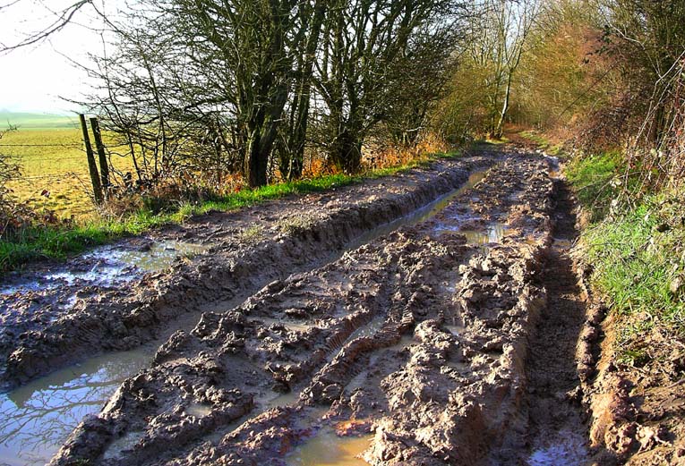 Saturday January 21st (2006) bridleway? align=