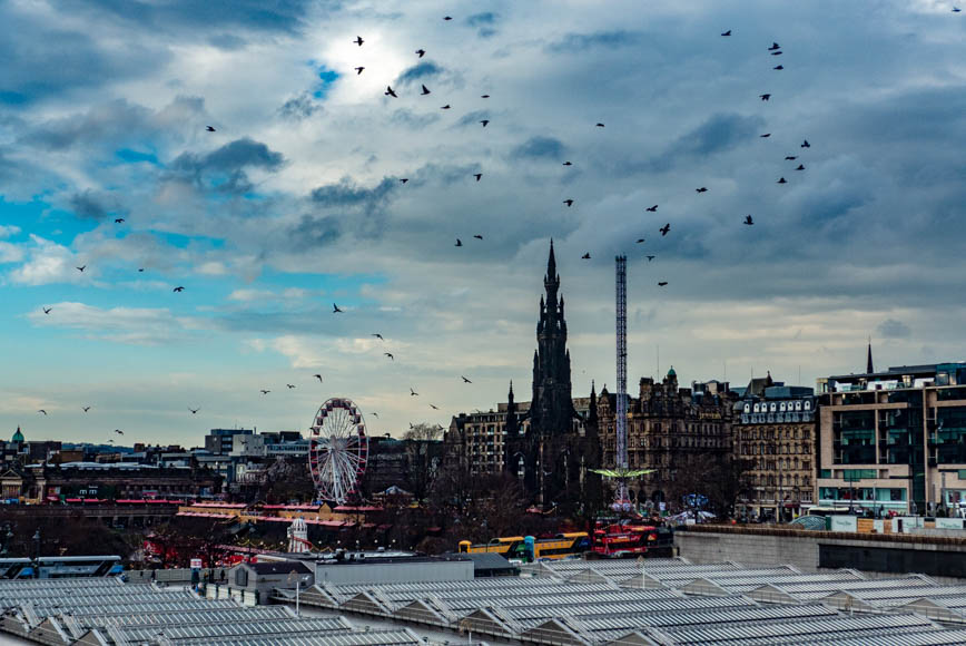 Thursday November 22nd (2018) edinburgh birds align=