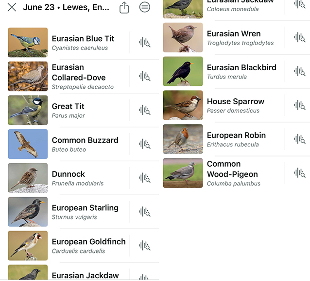 Tuesday June 23rd 2026&nbsp;13 birds …