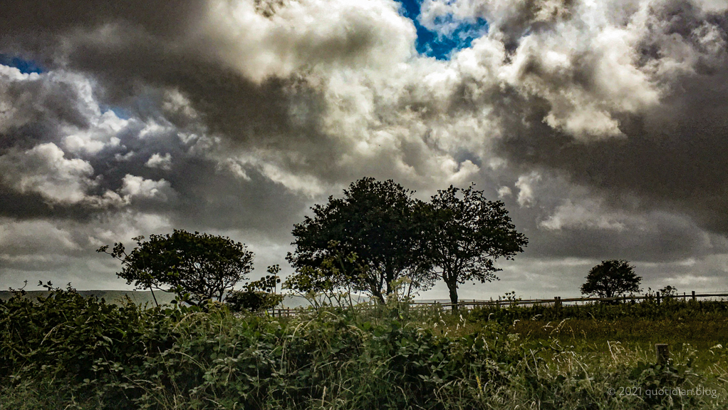 Saturday August 7th (2021) windy walking align=