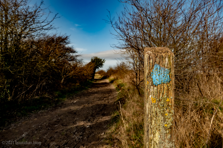 Sunday February 21st (2021) bridleway waymarker align=